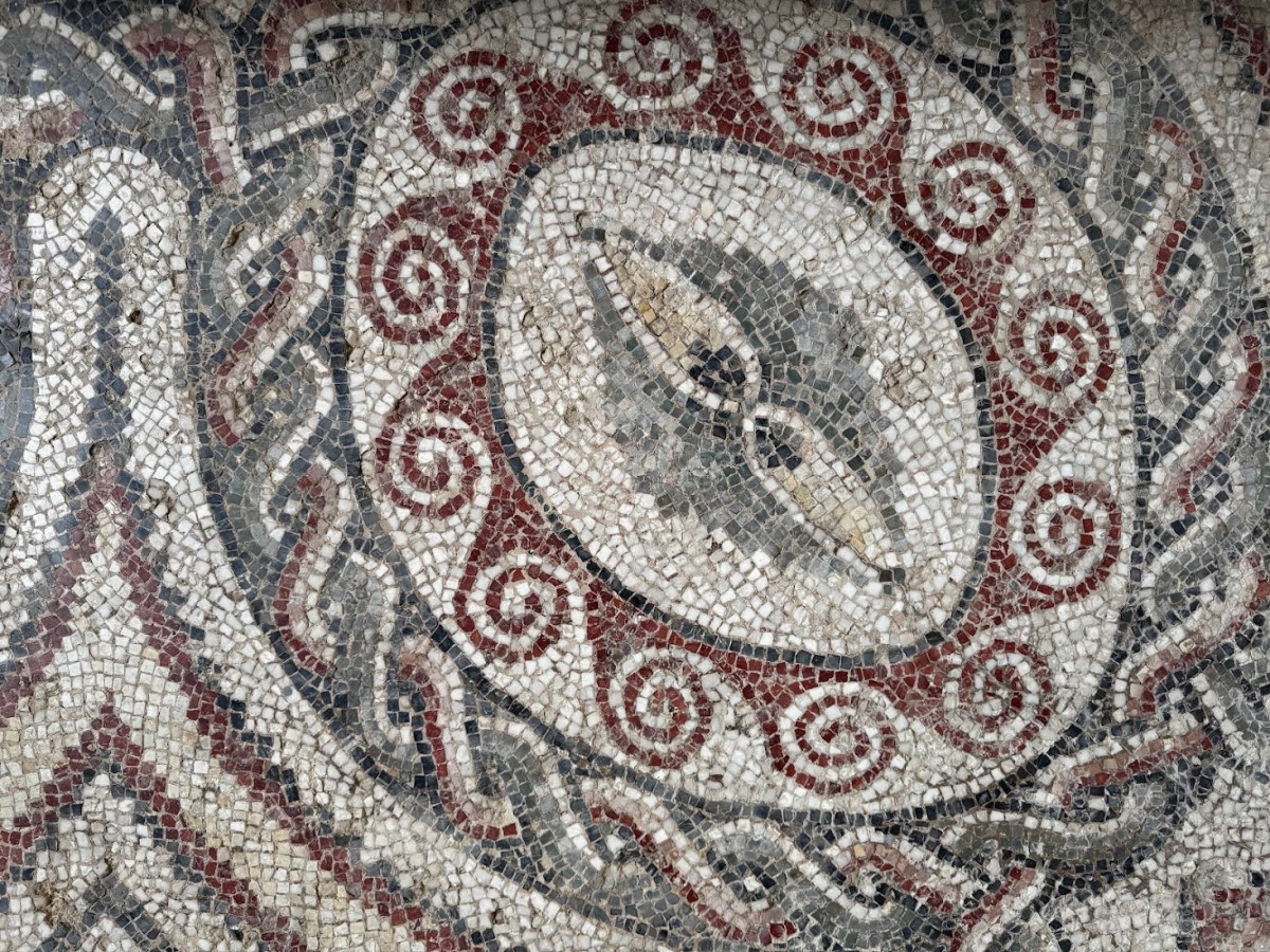 The Connector Between&nbsp;Worlds